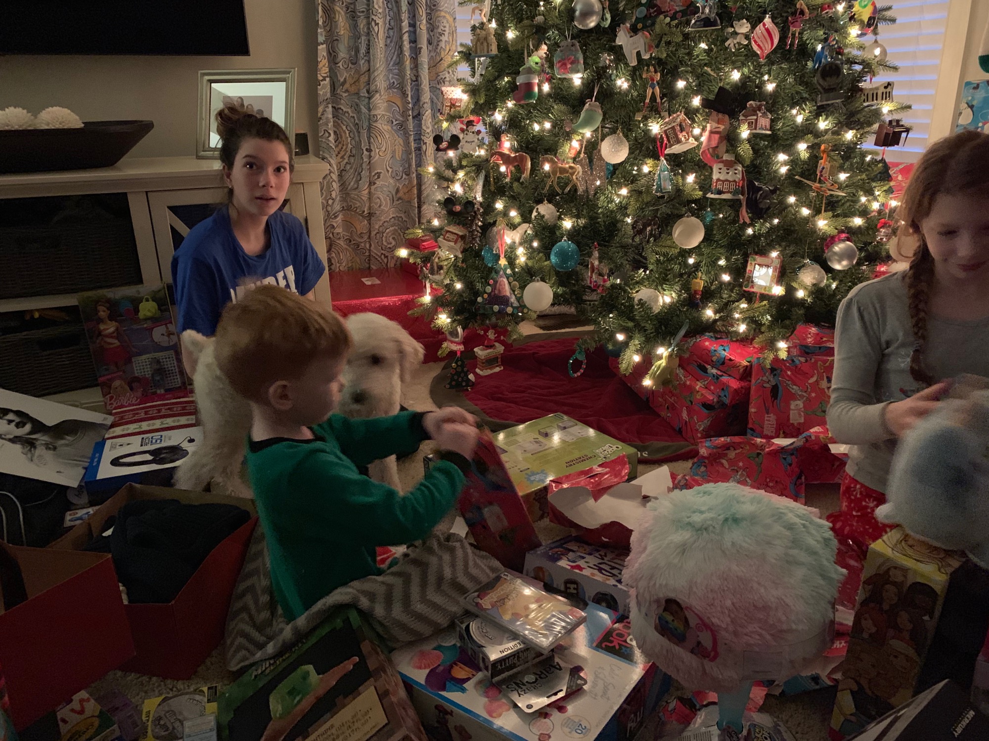 2018-12-25-christmas04 photo