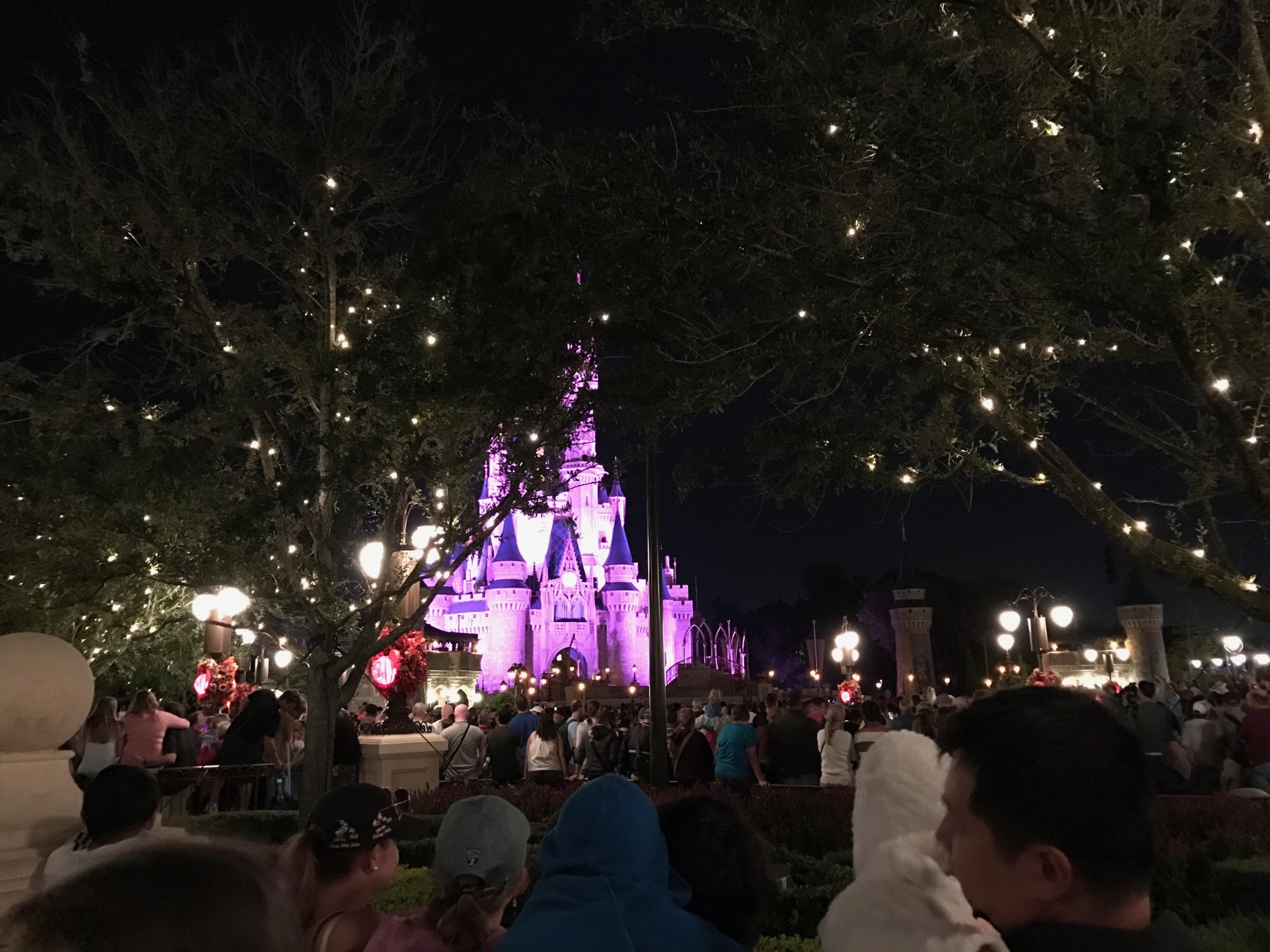 disney-trip-2016-86 photo