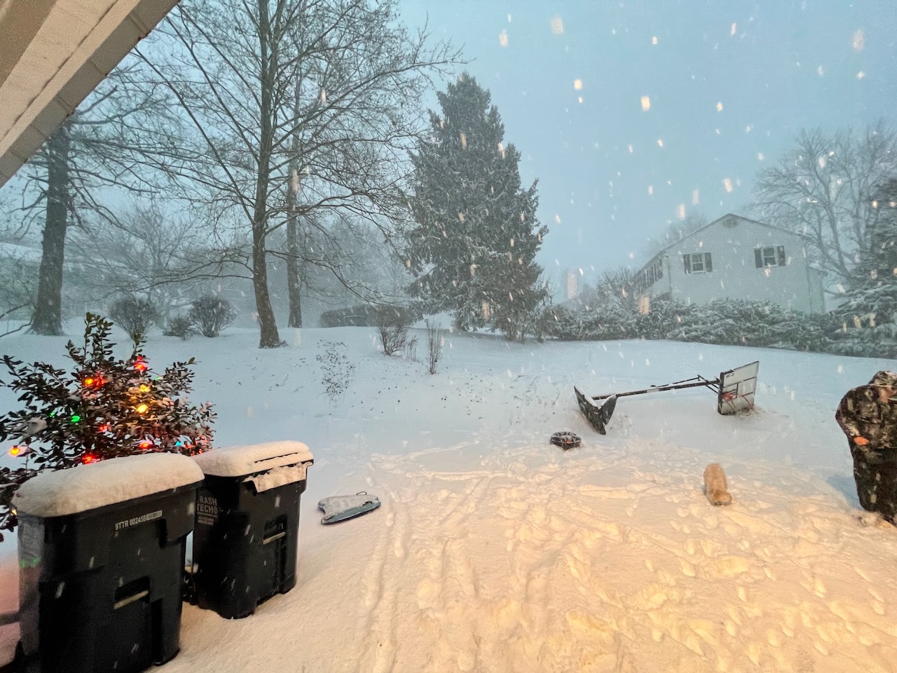 2020-12-16-let-it-snow-01 photo