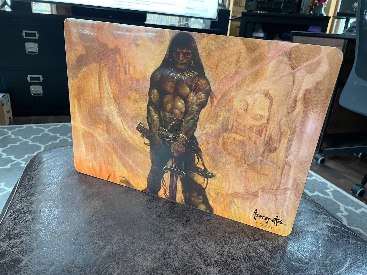 2020-11-27-new-skin photo