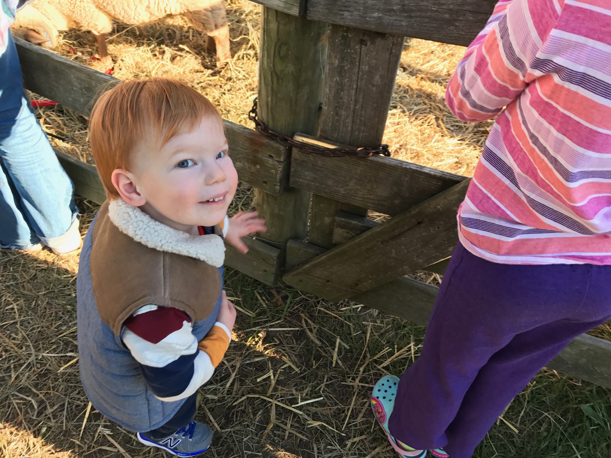 10-15-2016-pumpkin-patch-1 photo