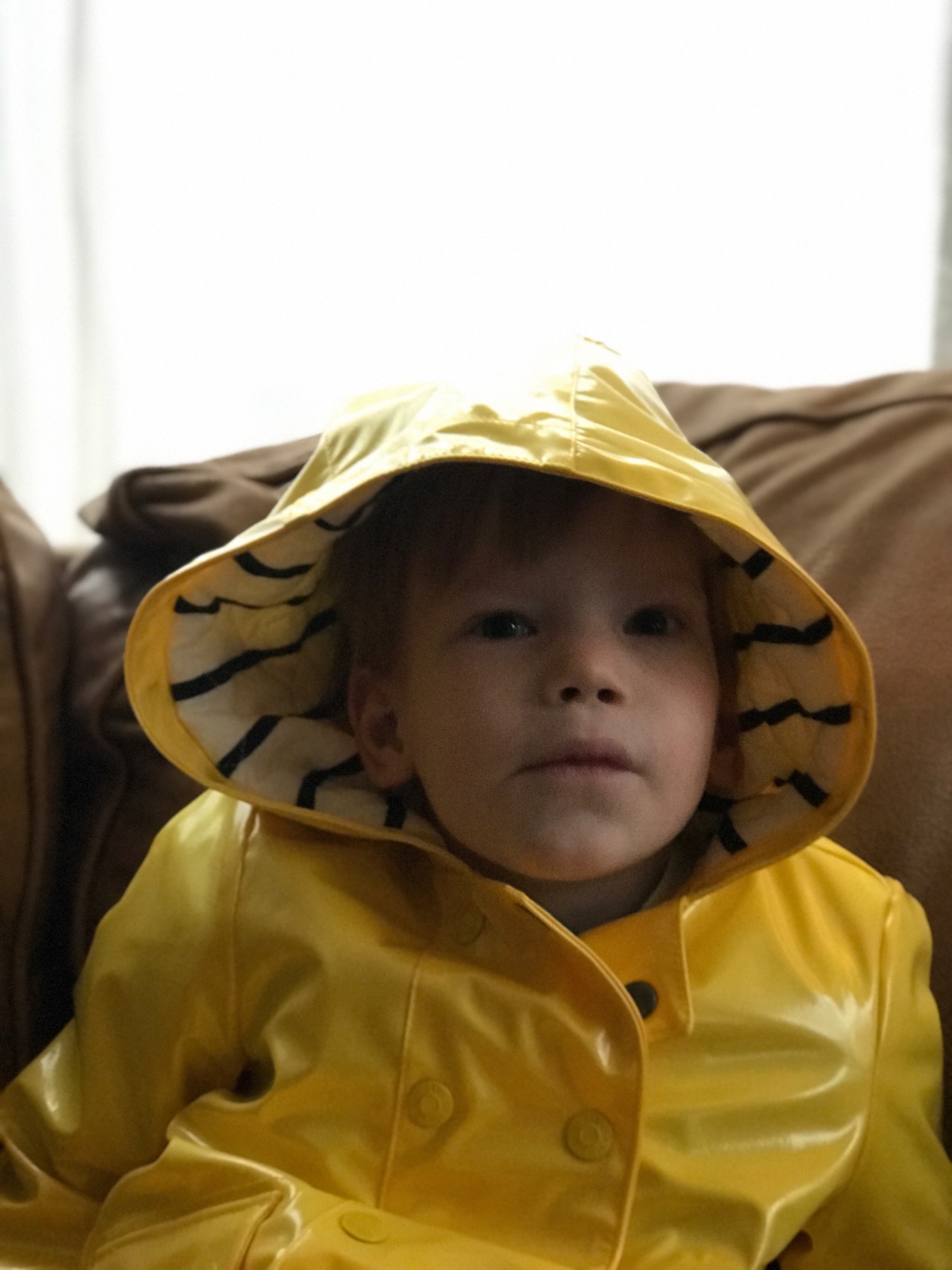 2017-10-29-raincoat-01 photo